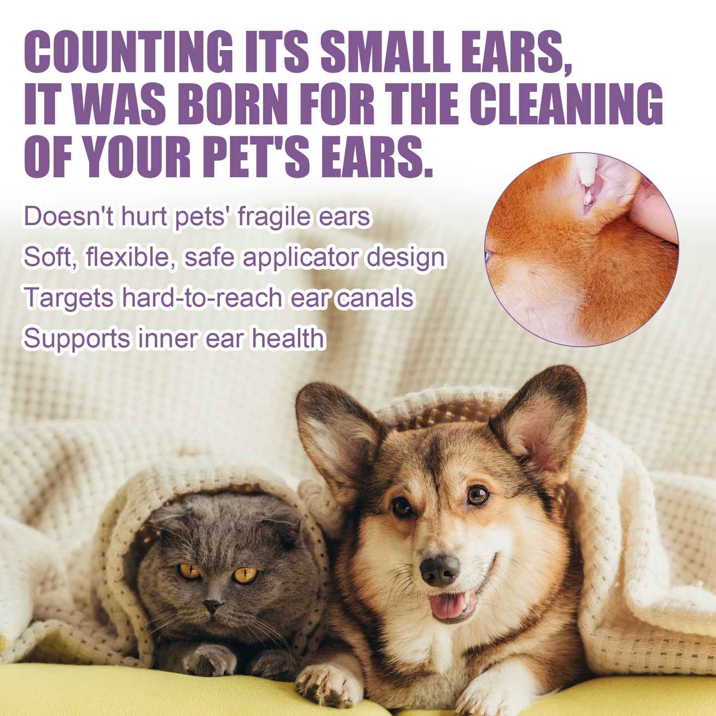 Pet Ear Cleaner – Safe Drops for Cats & Dogs – The Pet Accessory Heaven