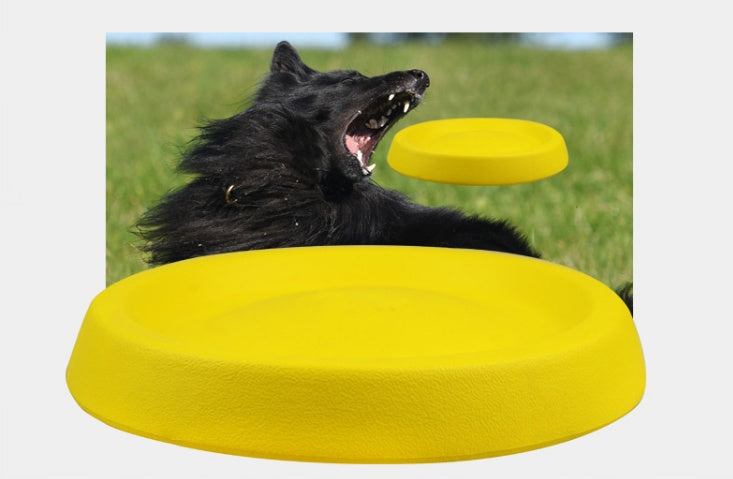 Dog Throwing Toy - Fun EVA Training Toy - The Pet Accessory Heaven