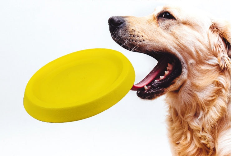 Dog Throwing Toy - Fun EVA Training Toy - The Pet Accessory Heaven