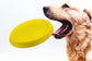 Dog Throwing Toy - Fun EVA Training Toy - The Pet Accessory Heaven