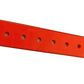 Waterproof Dog Collar - Durable & Adjustable – The Pet Accessory Heaven