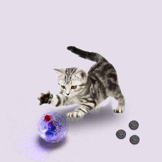 Glowing Transparent Plastic Ball Pet Toy – The Pet Accessory Heaven
