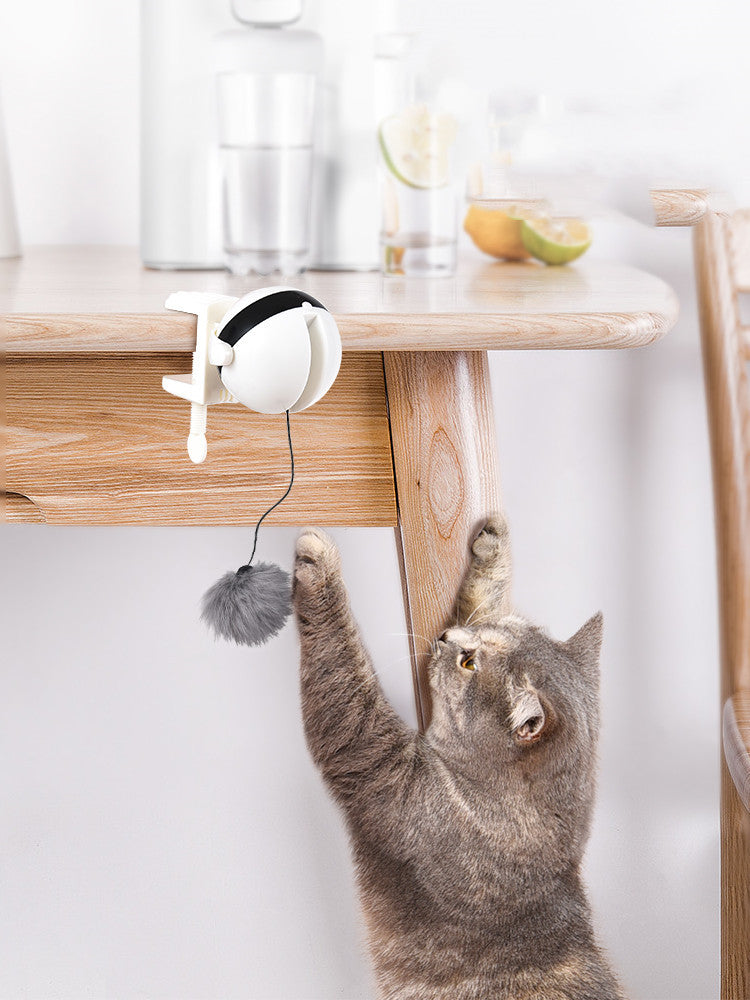 Electric Cat Toy - Motion Lifting Fun - The Pet Accessory Heaven