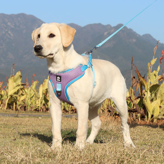 Breathable Pet Harness Set - The Pet Accessory Heaven