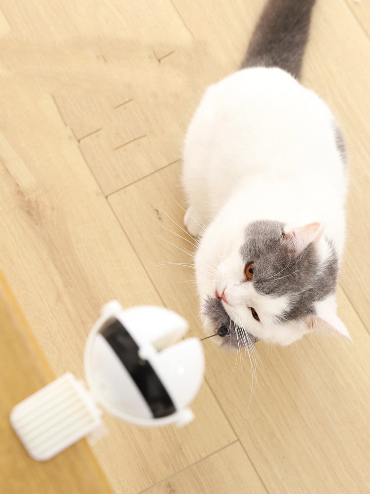 Electric Cat Toy - Motion Lifting Fun - The Pet Accessory Heaven
