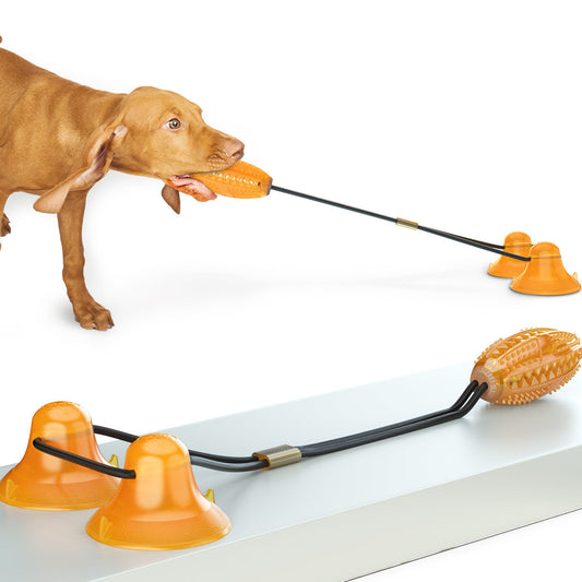 Dog Molar Bite Toy - Suction Tug Toy - The Pet Accessory Heaven