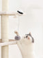Electric Cat Toy - Motion Lifting Fun - The Pet Accessory Heaven