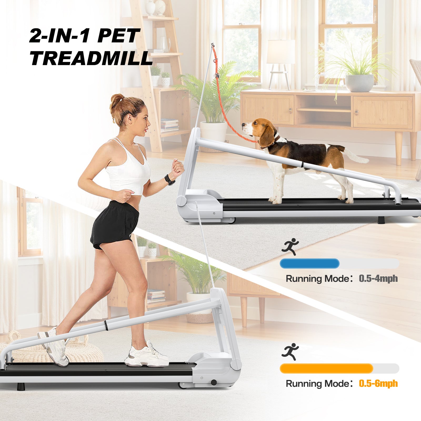 Dog Treadmill – Quiet & Smart – The Pet Accessory Heaven