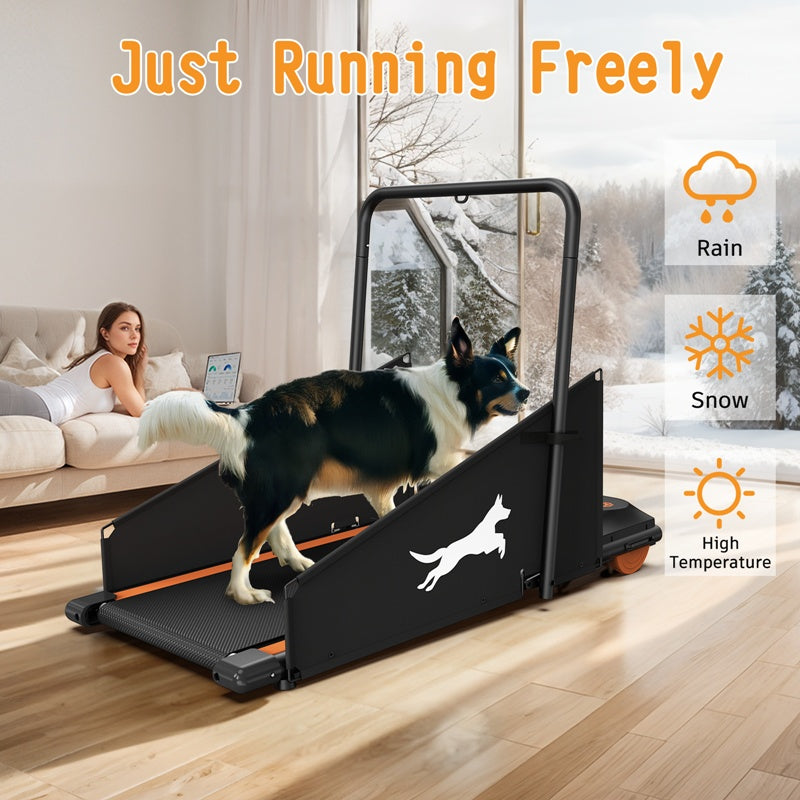 Dog Treadmill for Fitness - Dog Treadmill - The Pet Accessory Heaven