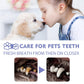 Pet Teeth Cleaning Spray - Fresh Breath - The Pet Accessory Heaven