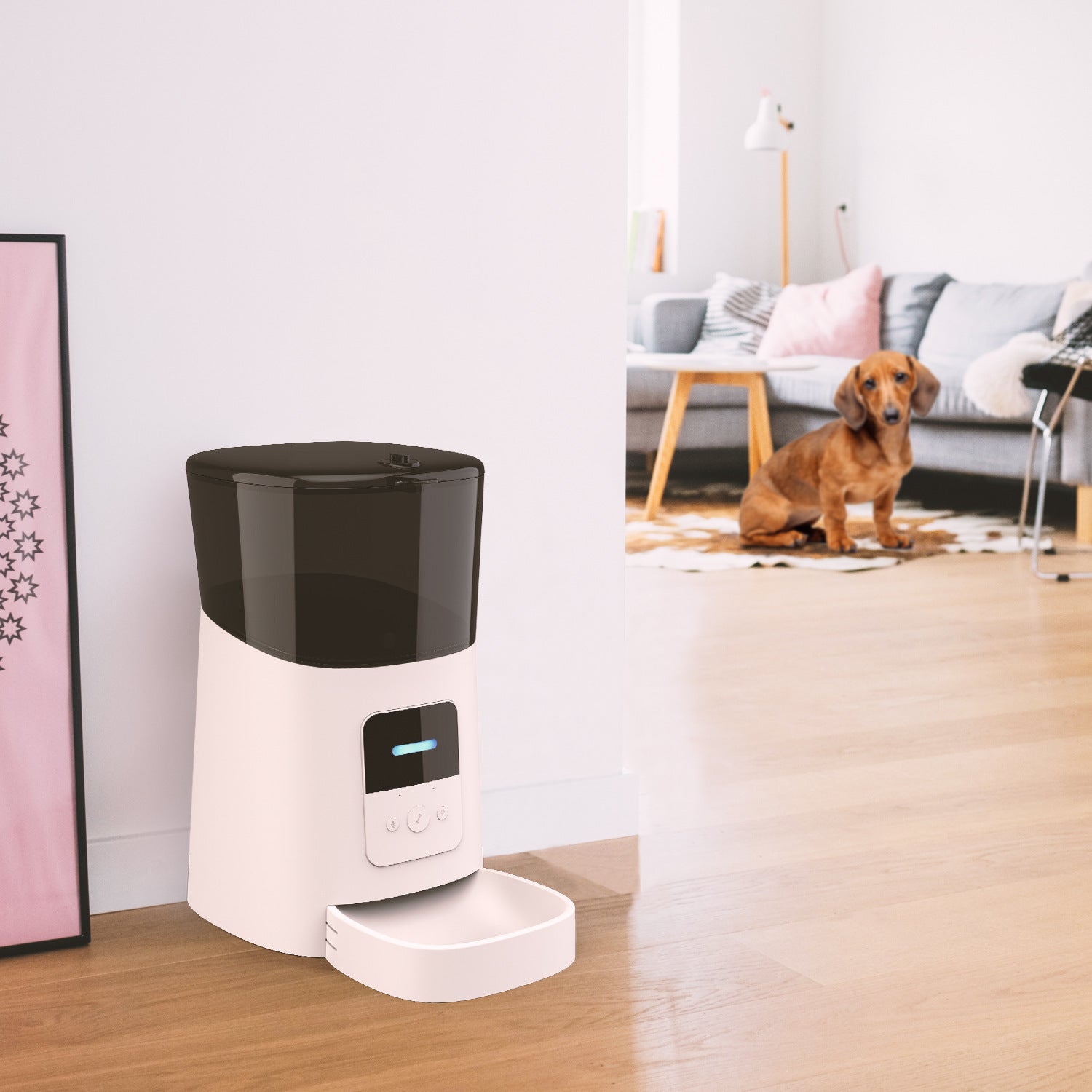 Automatic Pet Feeder - Easy Clean - The Pet Accessory Heaven