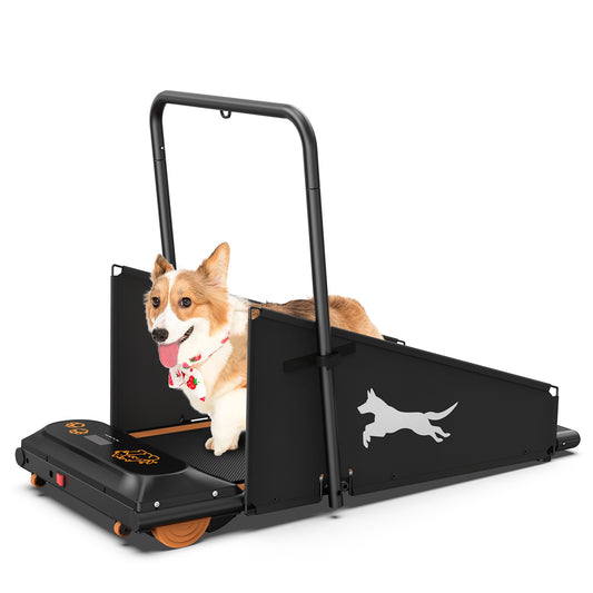 Dog Treadmill for Fitness - Dog Treadmill - The Pet Accessory Heaven