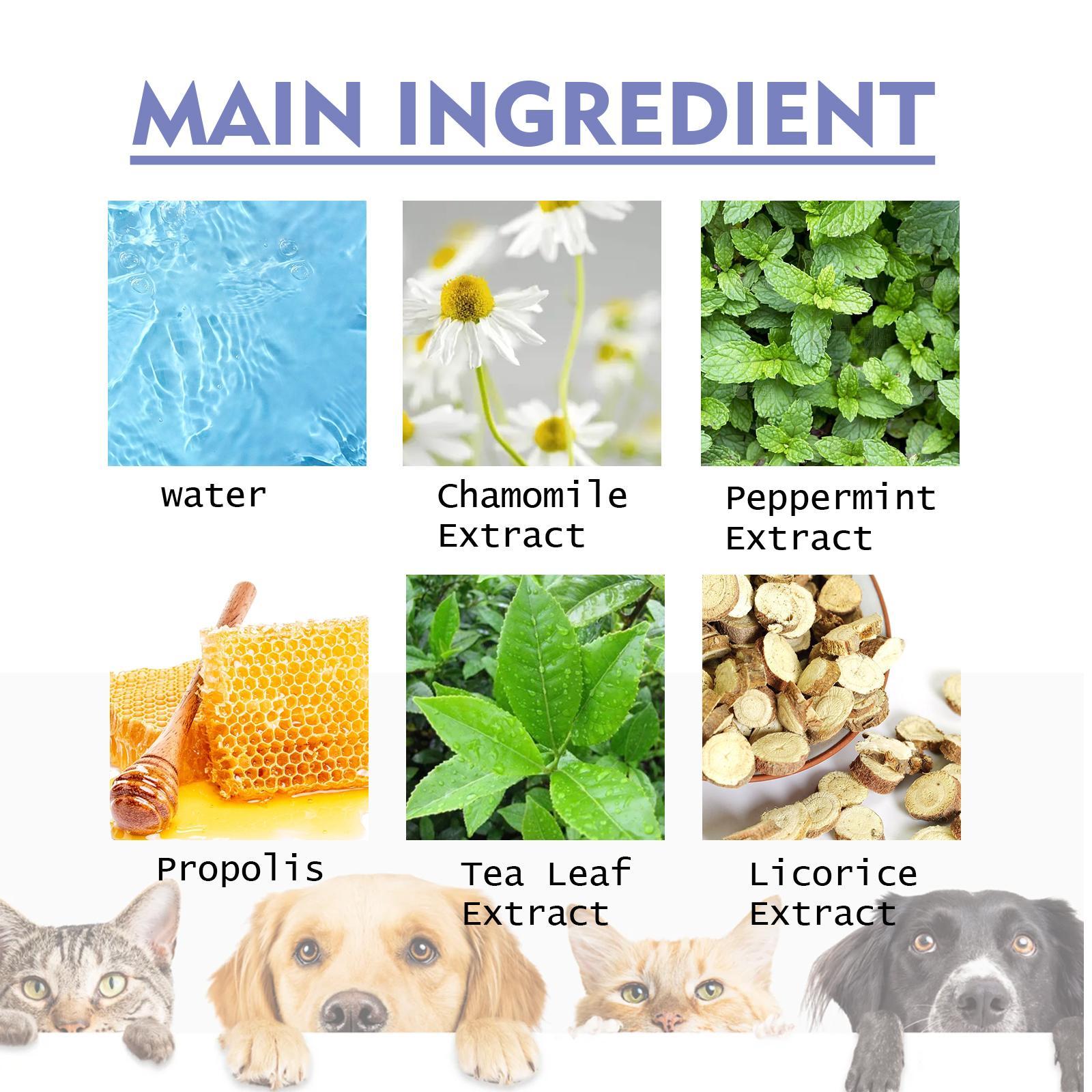 Pet Teeth Cleaning Spray - Fresh Breath - The Pet Accessory Heaven