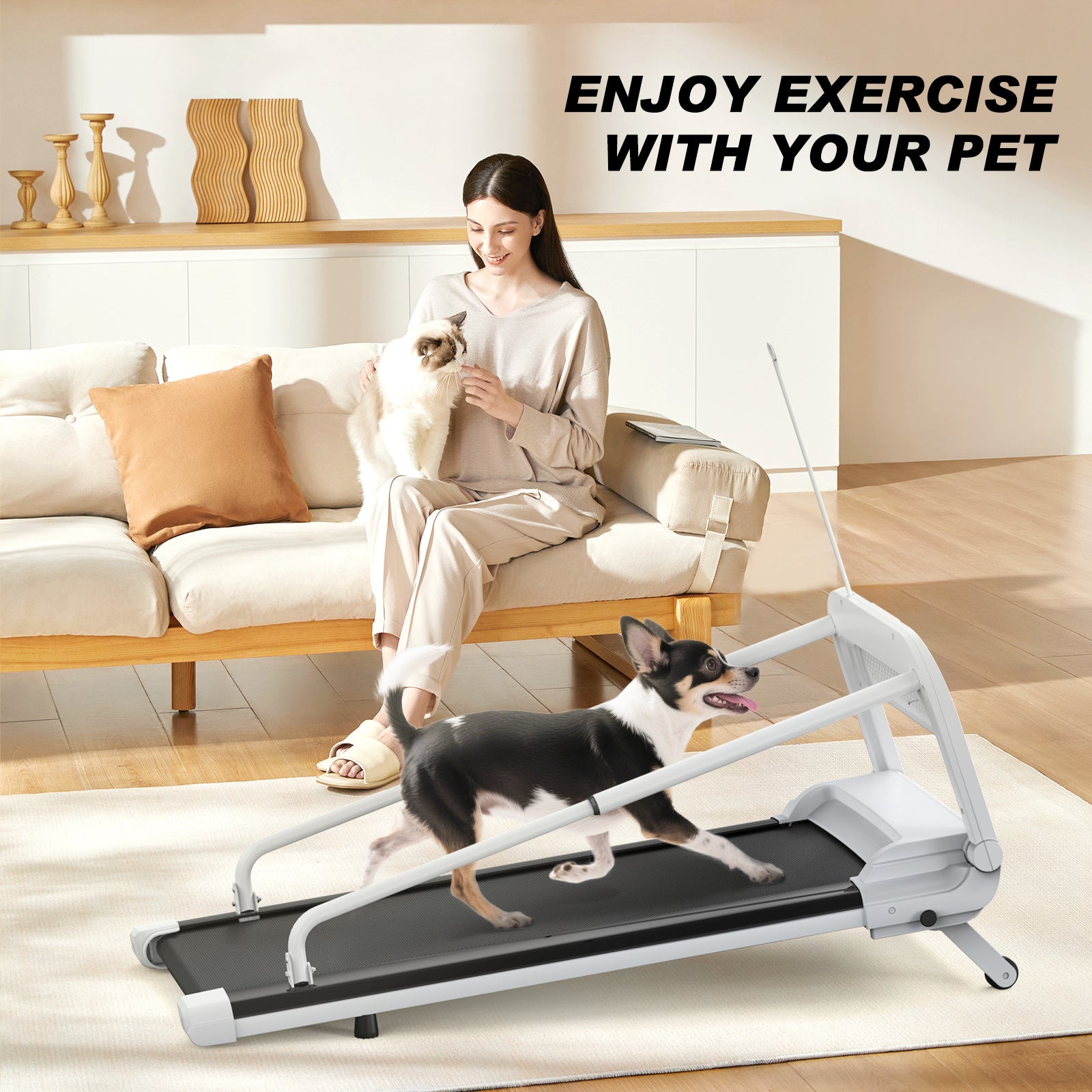 Dog Treadmill – Quiet & Smart – The Pet Accessory Heaven
