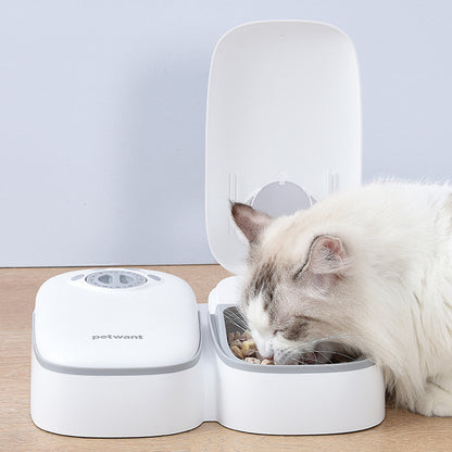 Automatic Cat Feeder – Double Meal Bowl – The Pet Accessory Heaven