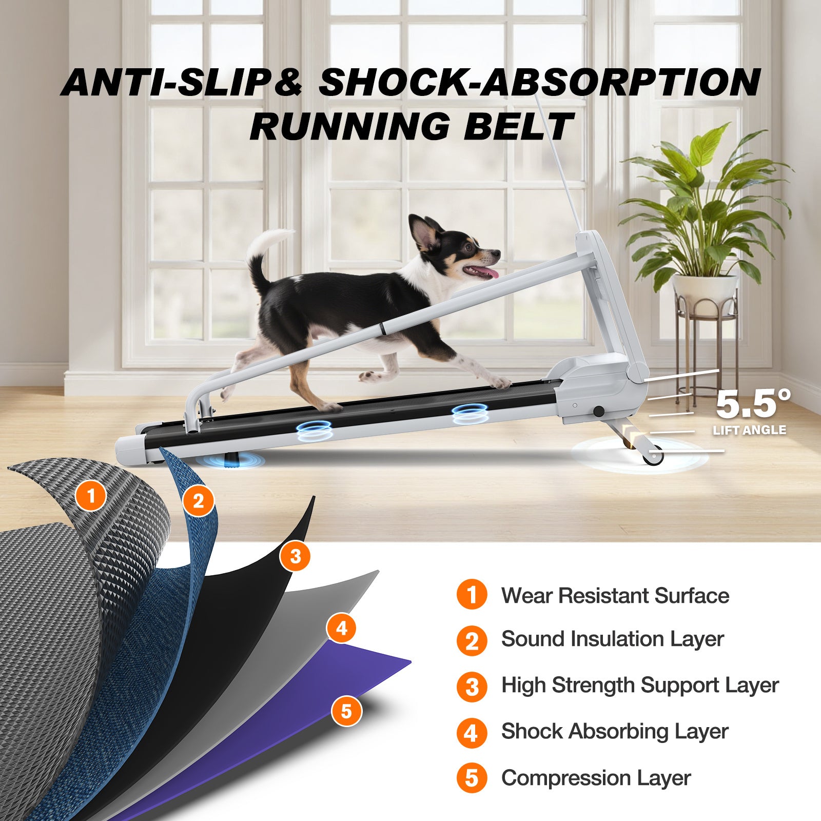 Dog Treadmill – Quiet & Smart – The Pet Accessory Heaven