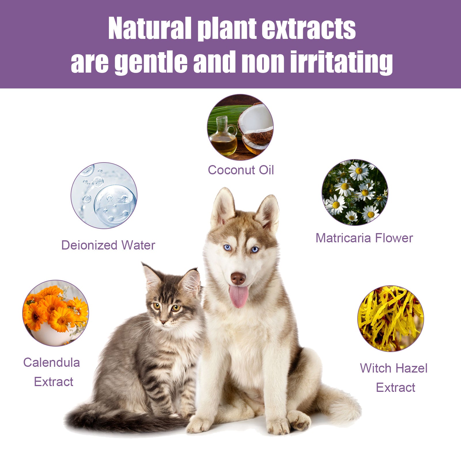 Pet Ear Cleaner – Safe Drops for Cats & Dogs – The Pet Accessory Heaven
