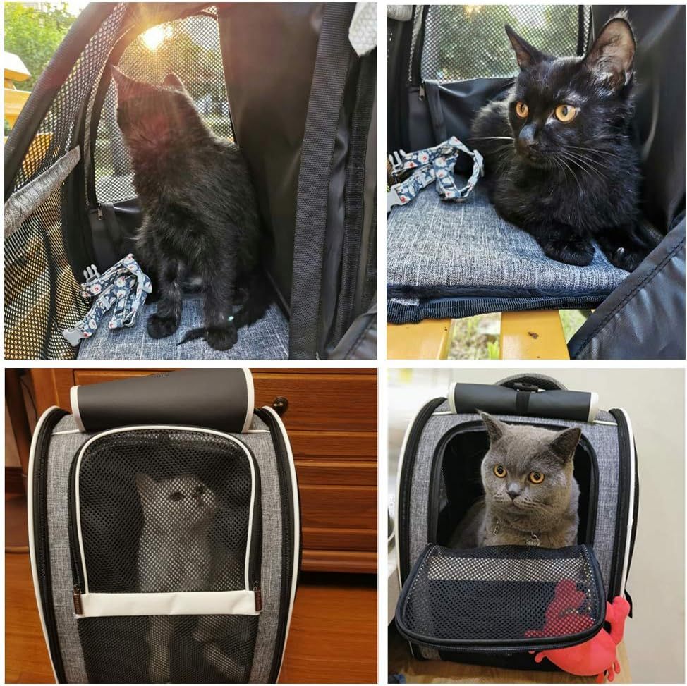 Pet Carrier Backpack - Travel Bubble Bag - The Pet Accessory Heaven