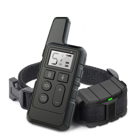 Dog Training Collar Black – The Pet Accessory Heaven