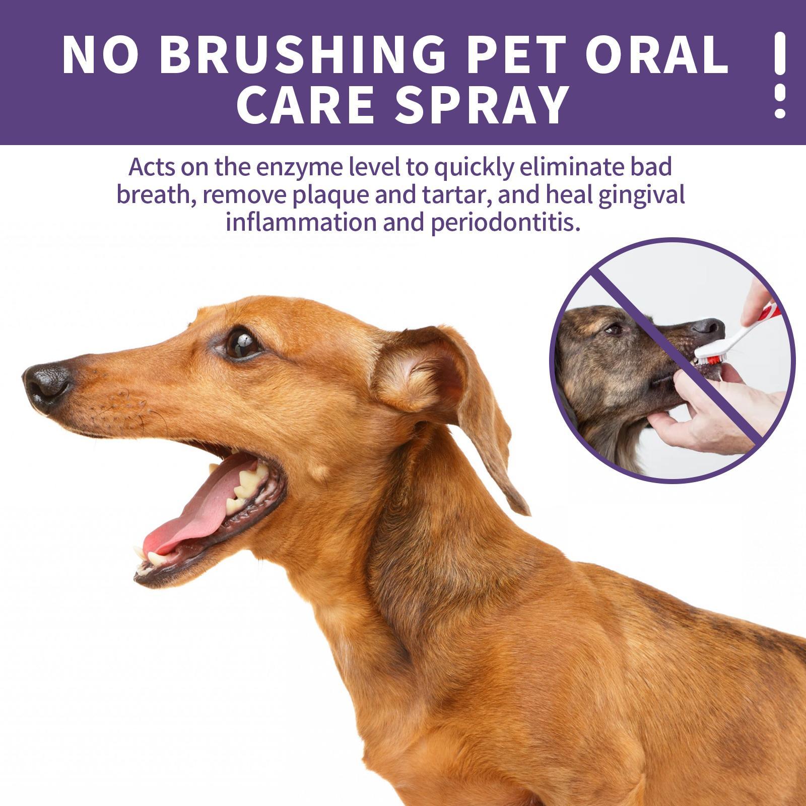 Pet Teeth Cleaning Spray - Fresh Breath - The Pet Accessory Heaven