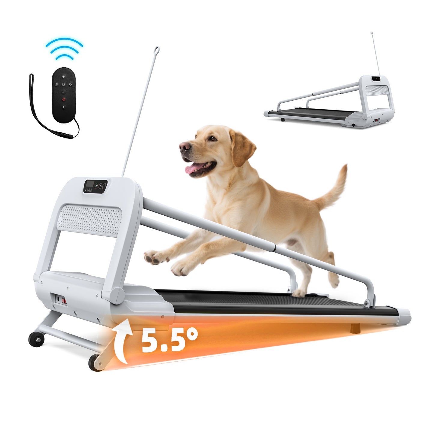 Dog Treadmill – Quiet & Smart – The Pet Accessory Heaven