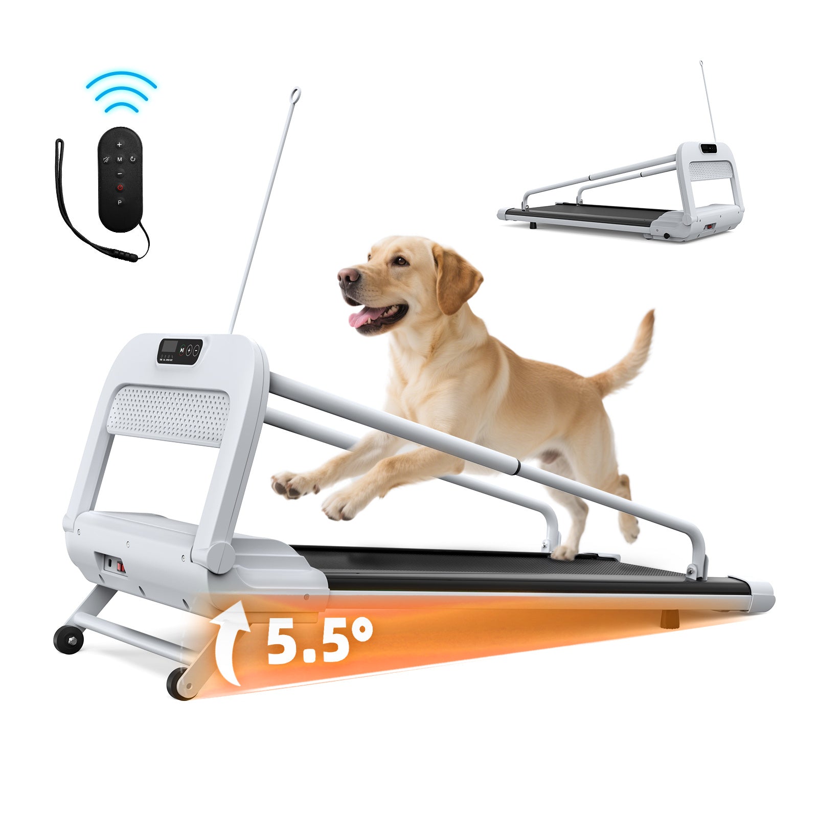 Dog Treadmill – Quiet & Smart – The Pet Accessory Heaven
