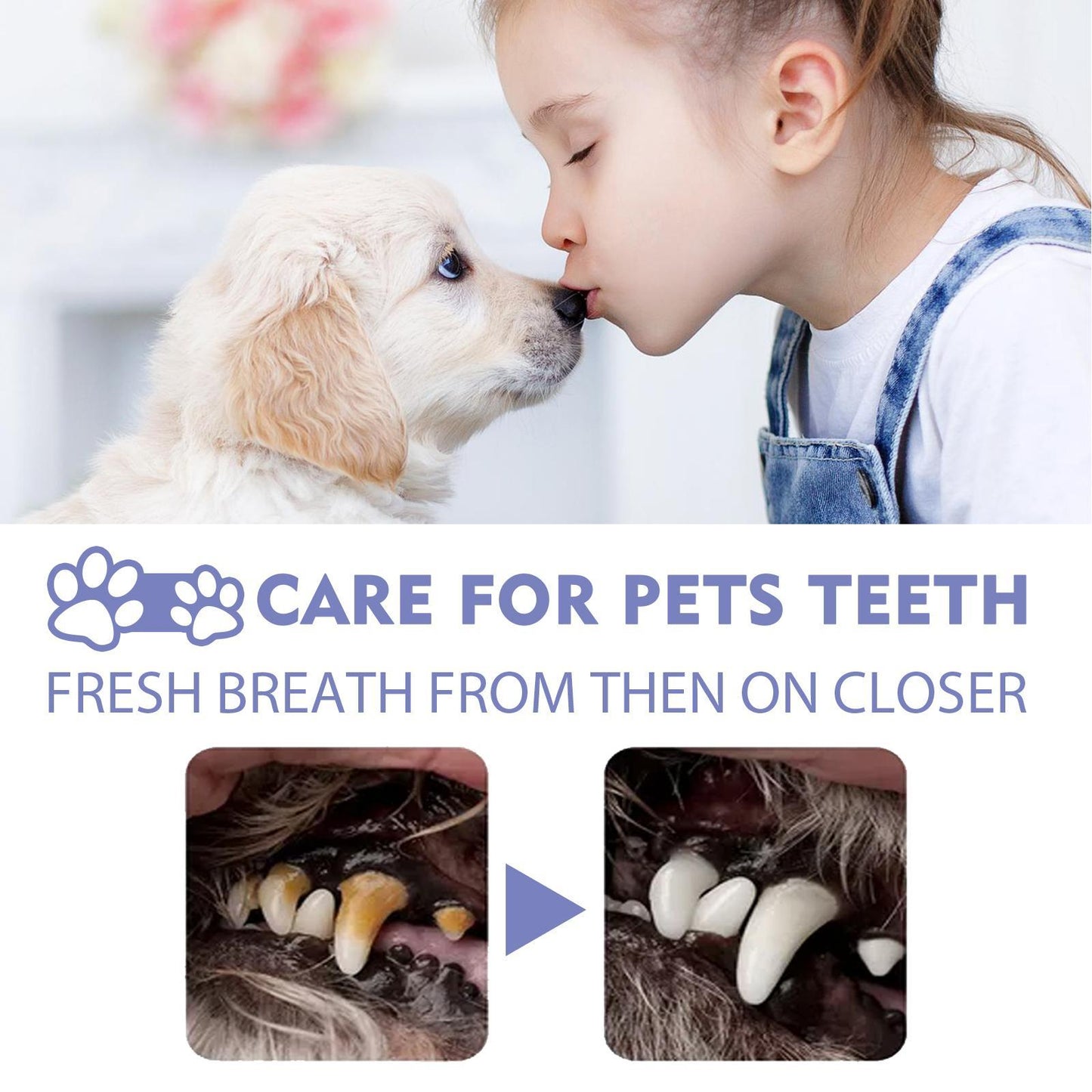 Pet Teeth Cleaning Spray - Fresh Breath - The Pet Accessory Heaven