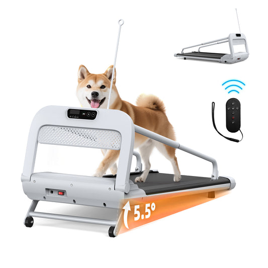 Dog Treadmill – Quiet & Smart – The Pet Accessory Heaven