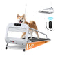 Dog Treadmill – Quiet & Smart – The Pet Accessory Heaven