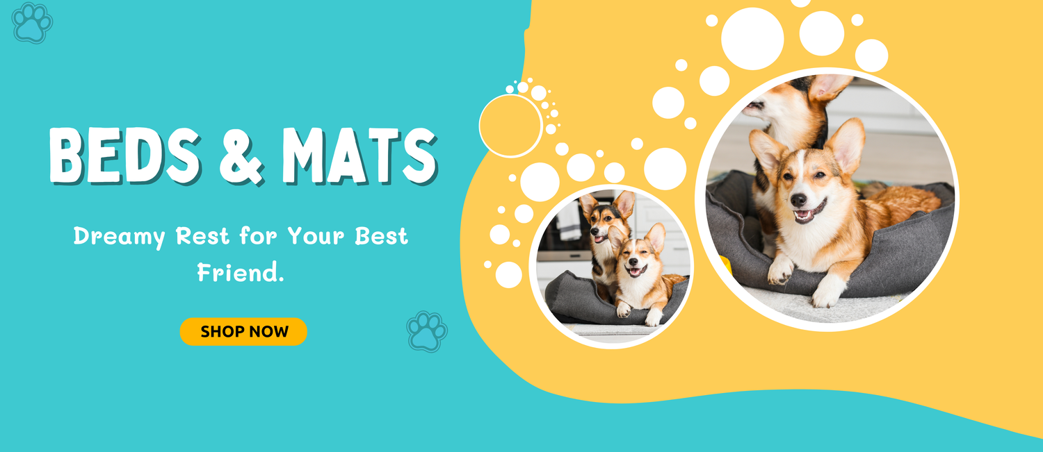 Advertisement for dog beds and mats with images of dogs on a blue and yellow background.